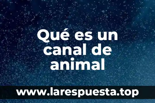 Qué es un canal de animal