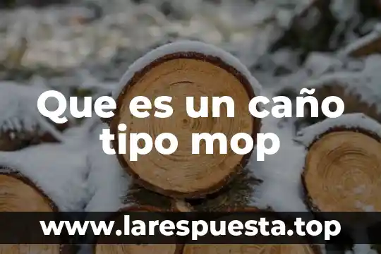 Que es tipo inquisitiva 3 Que es un caño tipo mop