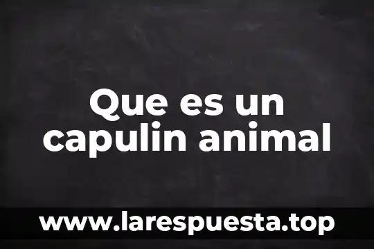 Que es un animal topo 8 Que es un capulin animal