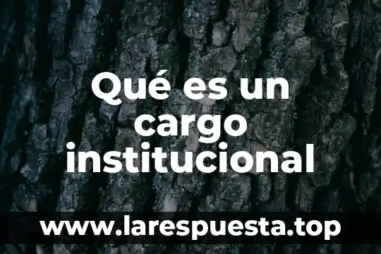 Qué es la supervisión y control 3 Qué es un cargo institucional