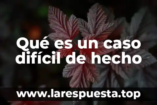 Que es la resolucojn del caso 4 Qué es un caso difícil de hecho