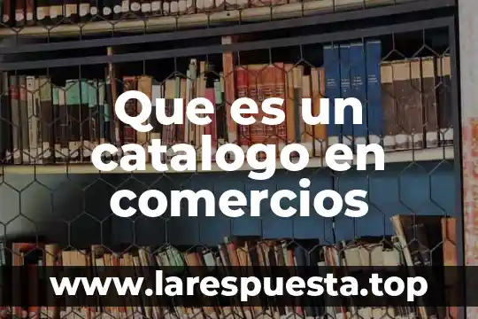 Que es catalogo de cuentas de activo y pasivo 7 Que es un catalogo en comercios