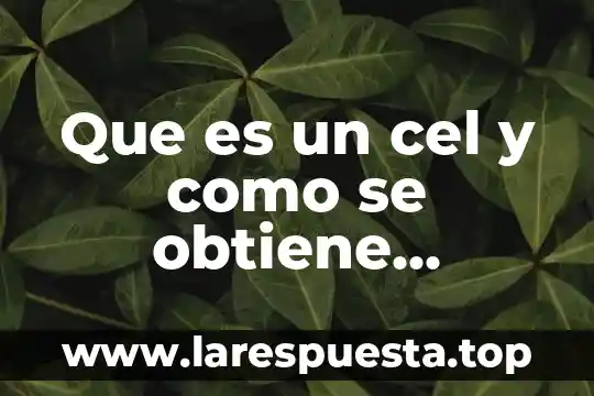 Que es un cel y como se obtiene energia