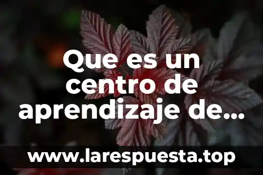 Qué es un gráfico de barras múltiples 6 Que es un centro de aprendizaje de inteligencias multiples