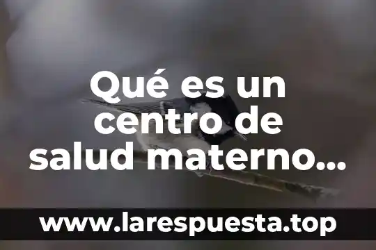 Que es una estancia infantil definicion 4 Qué es un centro de salud materno infantil