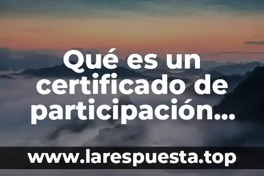 Qué es un certificado de participación concepto