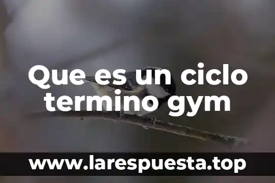 Que es ciclo fisica 3 Que es un ciclo termino gym