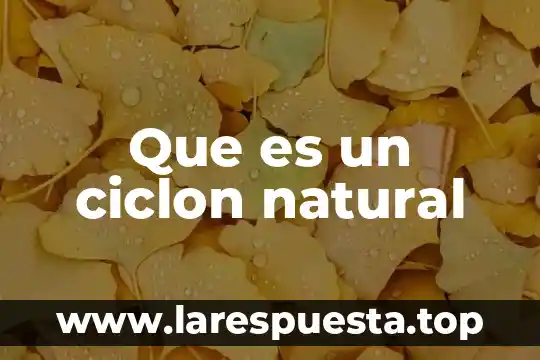 Que es un ciclon natural