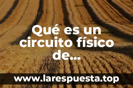 Que es una carta n5 3 Qué es un circuito físico de entrenamiento