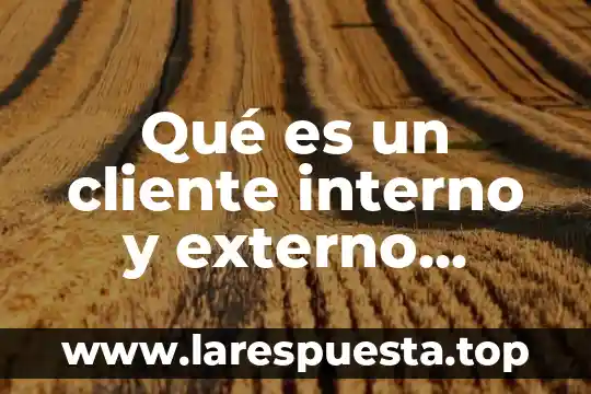 Que es el control interno en auditoria metodos de evaluacion 6 Qué es un cliente interno y externo ejemplos
