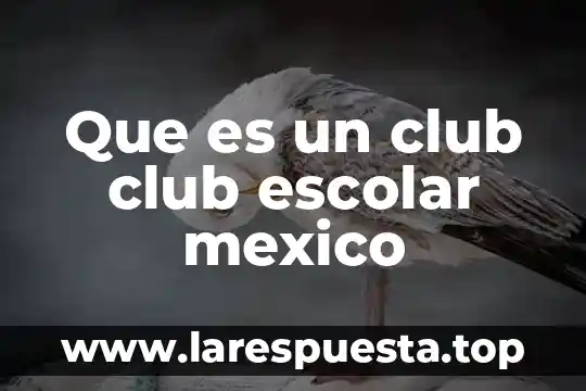 Que es un club club escolar mexico