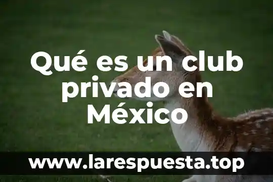 Qué es un club privado en México
