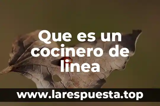 Que es un cocinero de linea