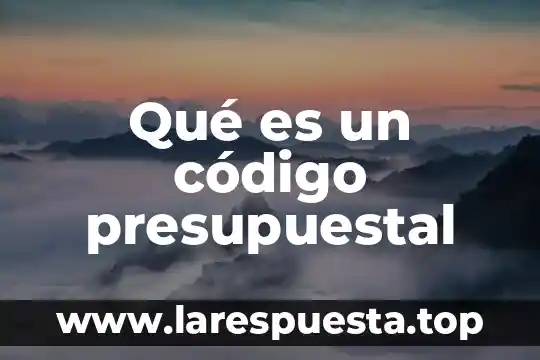 Qué es un código presupuestal