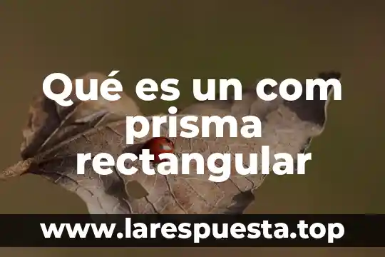 Que es perfectliker com 7 Qué es un com prisma rectangular