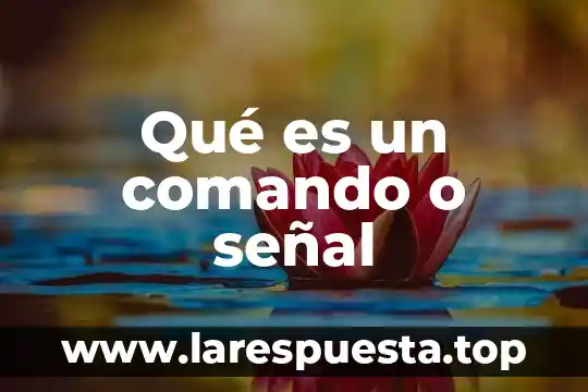 Qué es un comando o señal