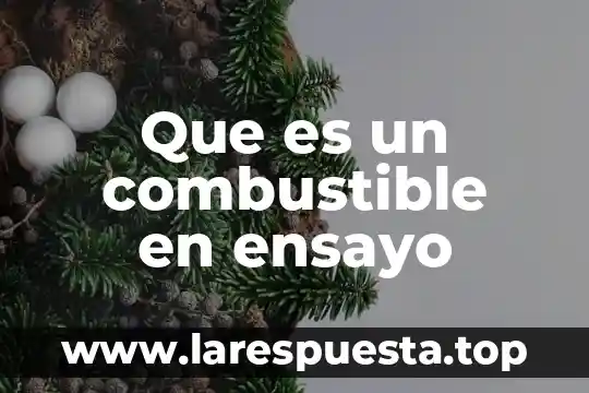 Que es un ensayo y su utor 8 Que es un combustible en ensayo