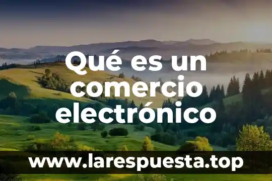 Qué es un comercio electrónico