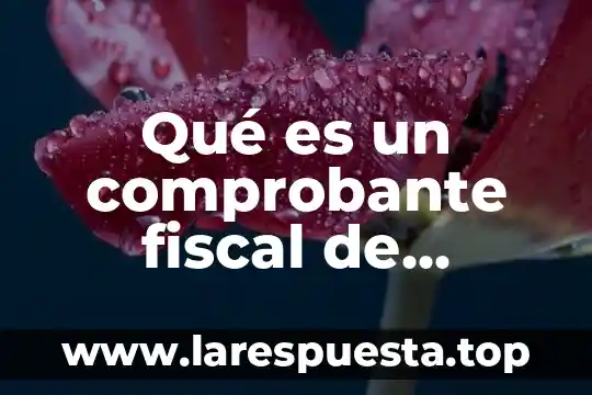Que es un comprobante de seguro social 3 Qué es un comprobante fiscal de Banamex