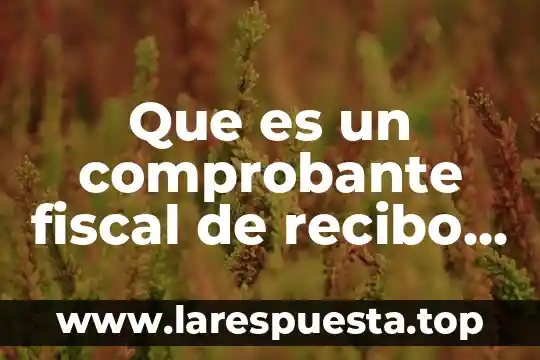 Que es un comprobante de seguro social 5 Que es un comprobante fiscal de recibo de luz
