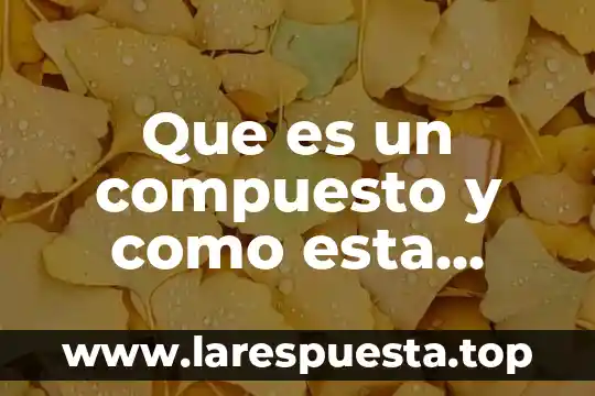 Que es un compuesto y como esta formado