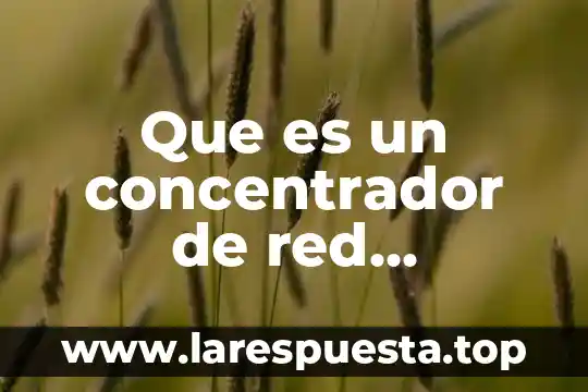 Que es el nombre de red especificado facturacion 7 Que es un concentrador de red caracteristicas