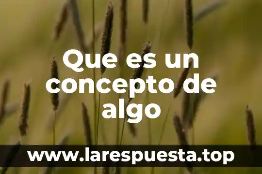 Algo parentesco que es 4 Que es un concepto de algo