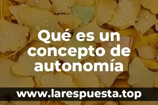 Qué es un concepto de autonomía