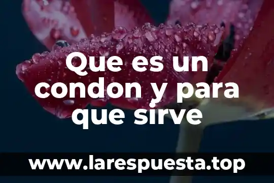 Que es un condon y para que sirve