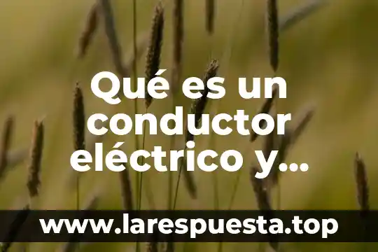 Que es resistencia eléctrica de un conductor 3 Qué es un conductor eléctrico y cómo funciona