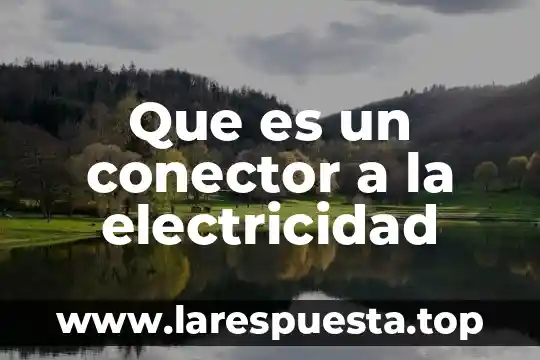 Que es un conector a la electricidad
