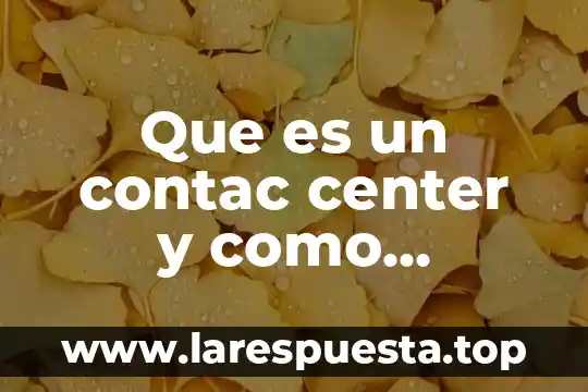 Que es hacienda y como funciona 4 Que es un contac center y como funciona