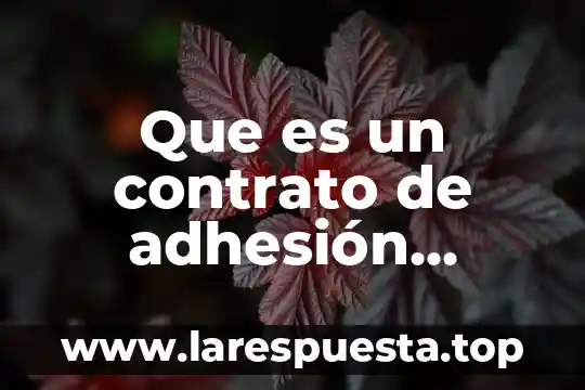 Que es un contrato de adhesión concepto juridica