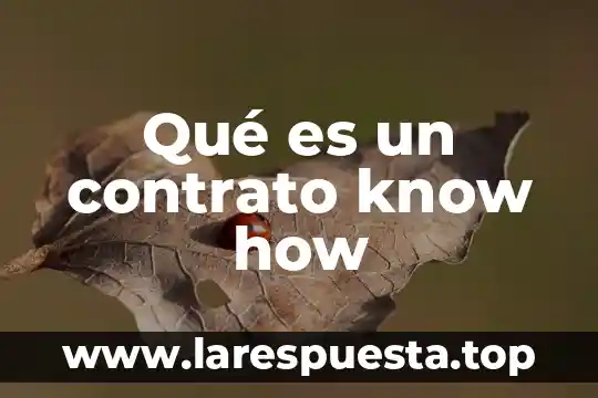 Canción que es pra música y dice how yeah 3 Qué es un contrato know how