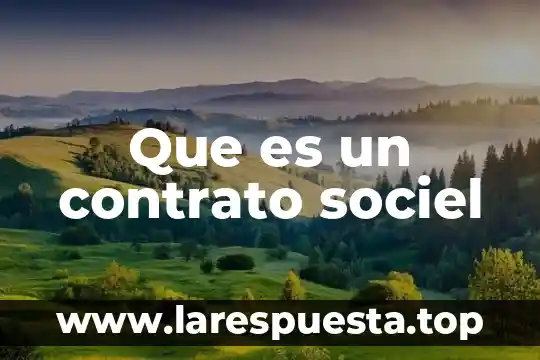 Que es la licitud del contrato 8 Que es un contrato sociel