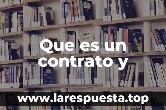 Que es un contrato sociel 8 Que es un contrato y