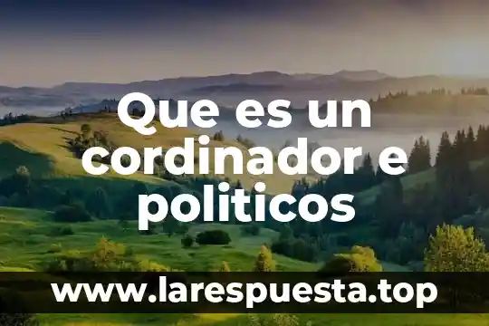 Que es un sistemas politicos 5 Que es un cordinador e politicos