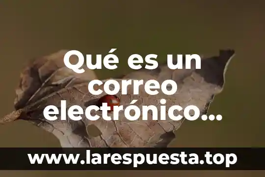 Enviar correo electrónico que es 8 Qué es un correo electrónico asociado a CURP