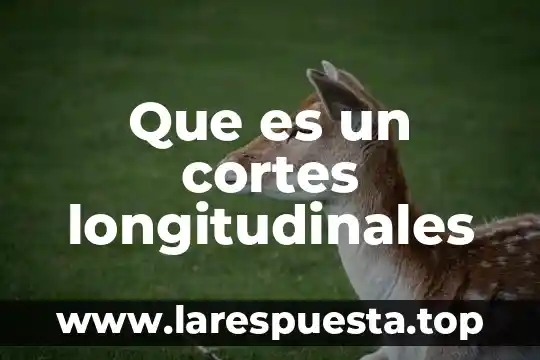 Que es un cortes longitudinales