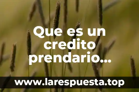 Que es un credito prendario concepto