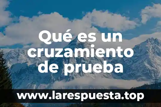 Que es una prueba beta de embarazo 8 Qué es un cruzamiento de prueba