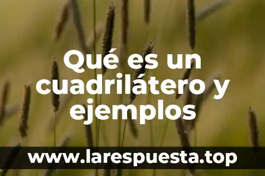 Quimica que es una mecanismo de reacción 4 Qué es un cuadrilátero y ejemplos