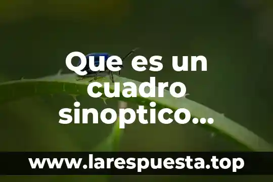 Que es el reconocimiento historico concepto 4 Que es un cuadro sinoptico historico