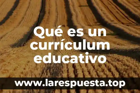 Reingreso educativo que es 7 Qué es un currículum educativo