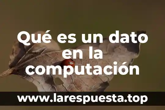 Que es un proceso computacion 4 Qué es un dato en la computación