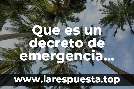 Que es actividad economica articulo 3 Que es un decreto de emergencia economica