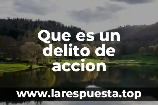 Qué es la acción dramaturgica 4 Que es un delito de accion