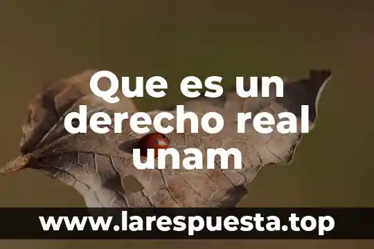 Que es memoria virtual y como funciona 4 Que es un derecho real unam