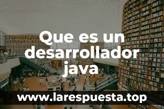 Que es el liderazgo desarrollador 5 Que es un desarrollador java