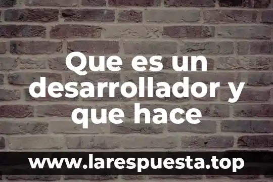 Desarrollador jr que es 6 Que es un desarrollador y que hace